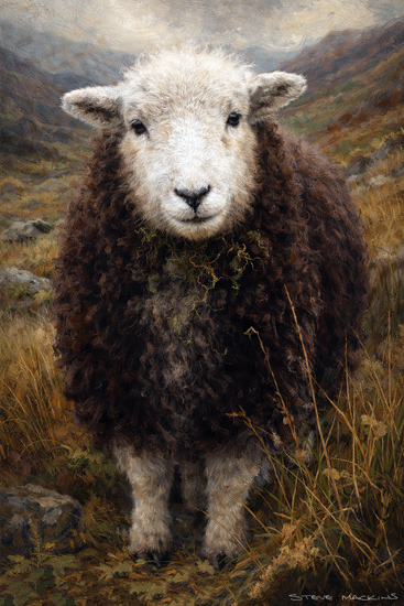 Lake District Wildlife Art Print