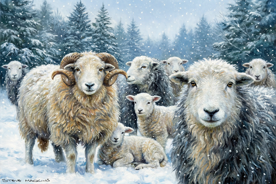 Lake District Wildlife Art Print