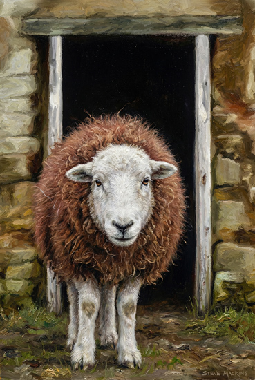 Lake District Wildlife Art Print