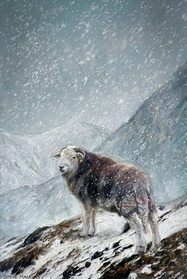 Lake District Wildlife Art Print