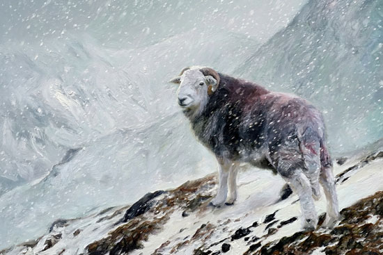 Lake District Wildlife Art Print