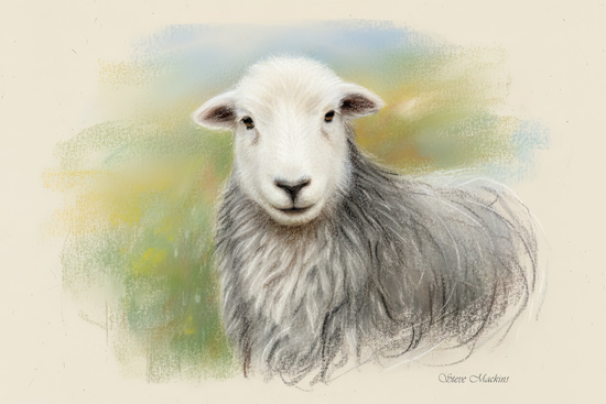 Lake District Wildlife Art Print