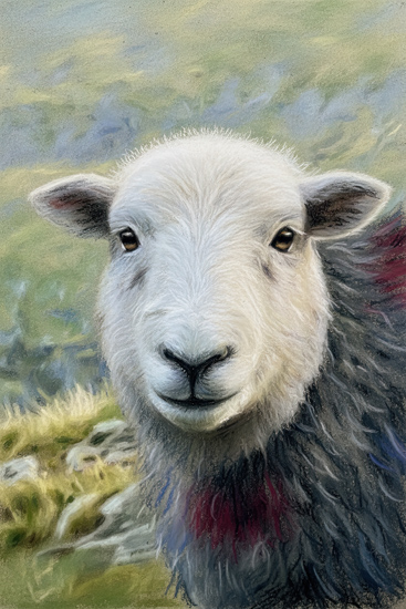 Lake District Wildlife Art Print