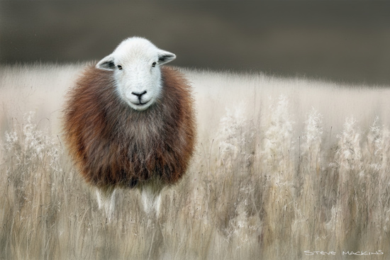 Lake District Wildlife Art Print