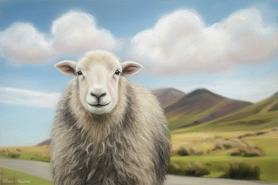 Lake District Wildlife Art Print