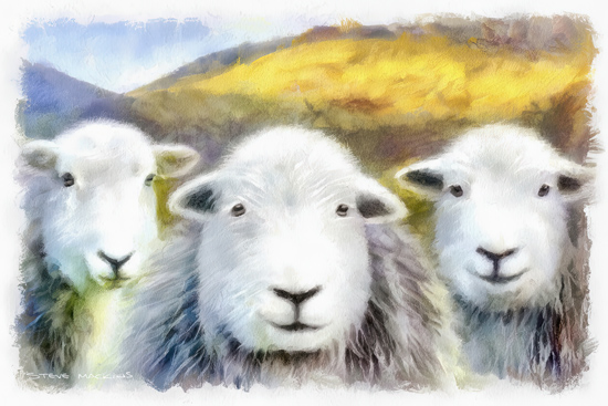 Lake District Wildlife Art Print