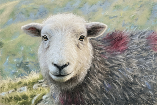 Lake District Wildlife Art Print