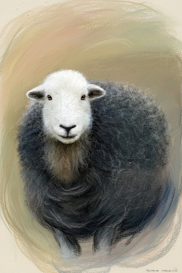 Lake District Wildlife Art Print