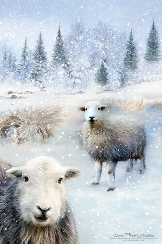 Lake District Wildlife Art Print
