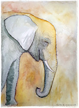 Elephant Watercolour Art Print